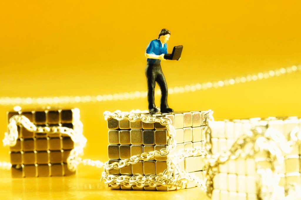 blockchain pubblica e privata (2) blockchain privata