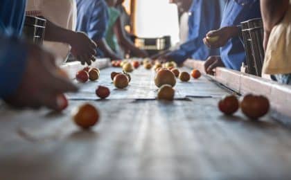 filiera agroalimentare