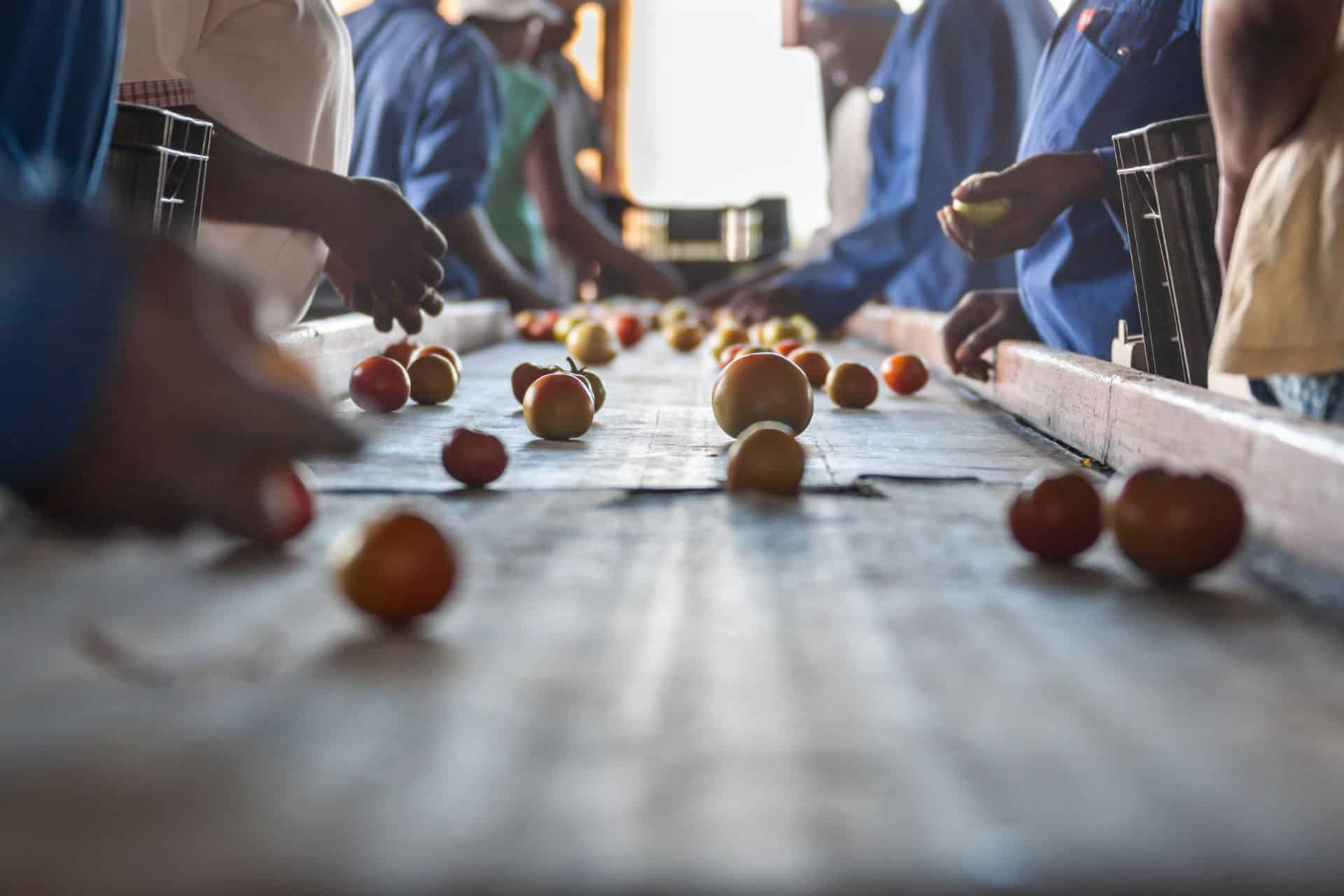 Blockchain per l’Agrifood: Innovare la Filiera Alimentare Blockchain per l’Agrifood: Innovare la Filiera Alimentare