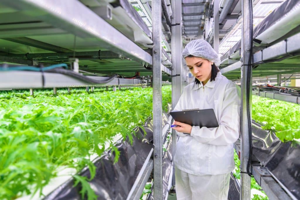 blockchain_filieraagroalimentare Blockchain per Agrifood